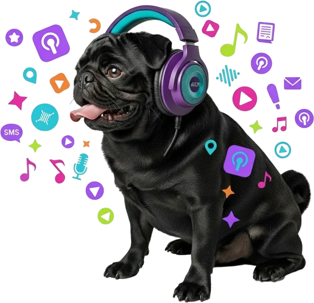 Tedy Pickles the pug